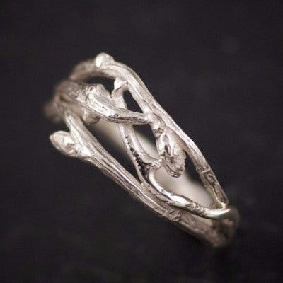 The Woodland Branch Band in Silver