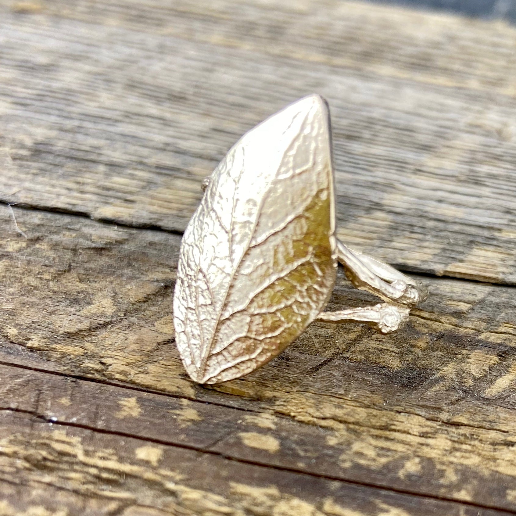 Alder Ring - Bronze