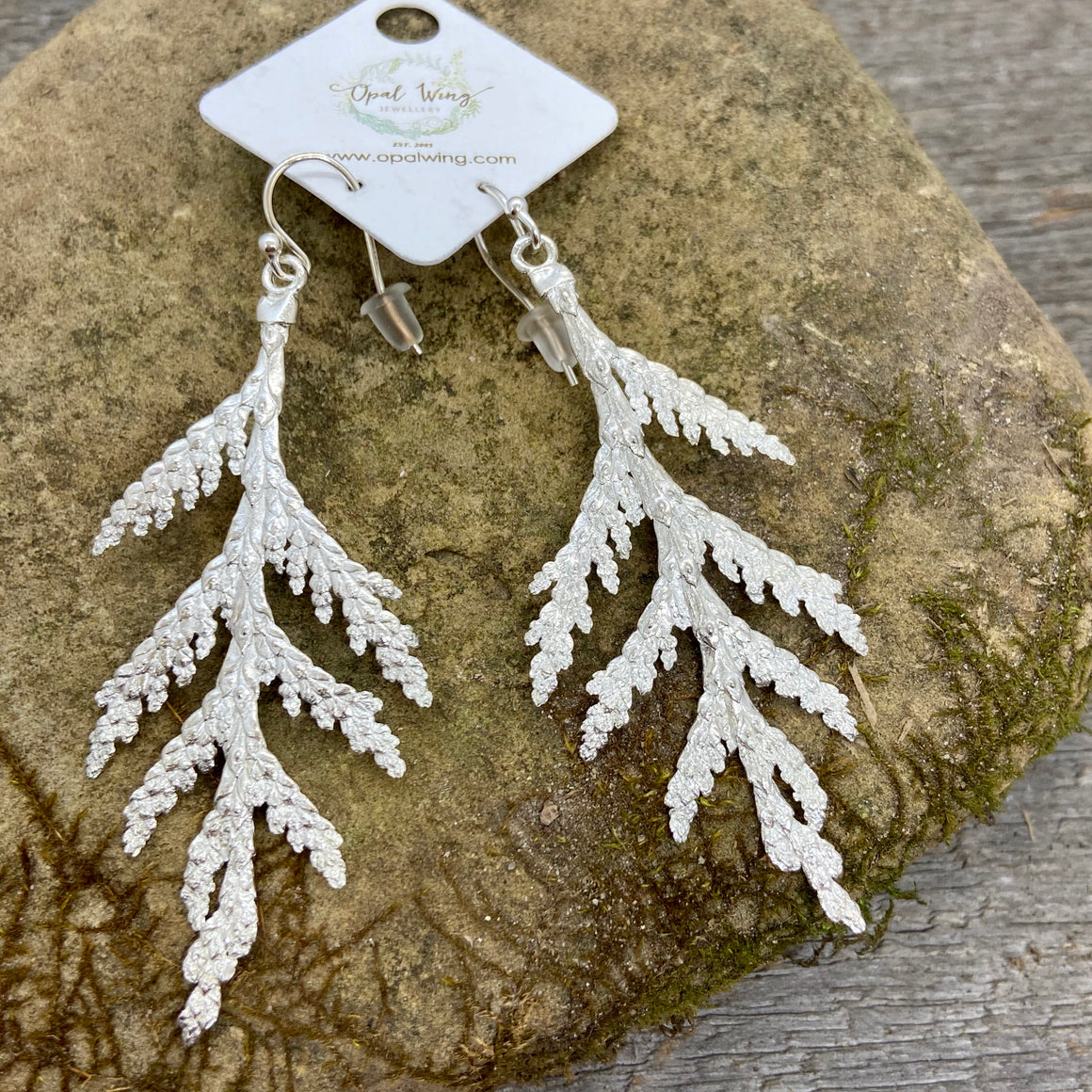 Large White Cedar Earrings in Silver
