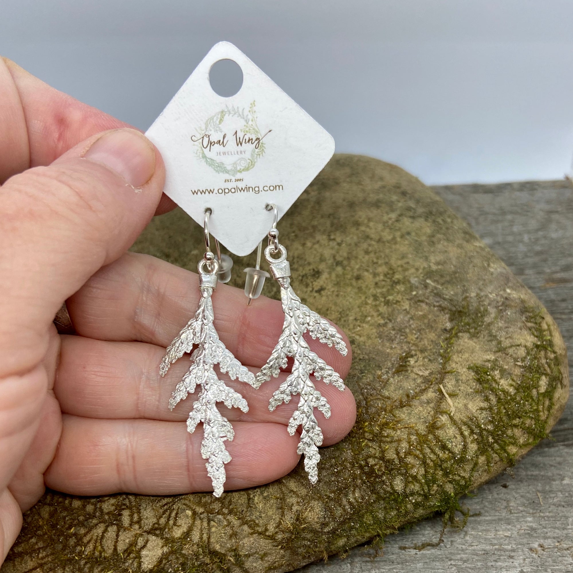 Small White Cedar Earrings
