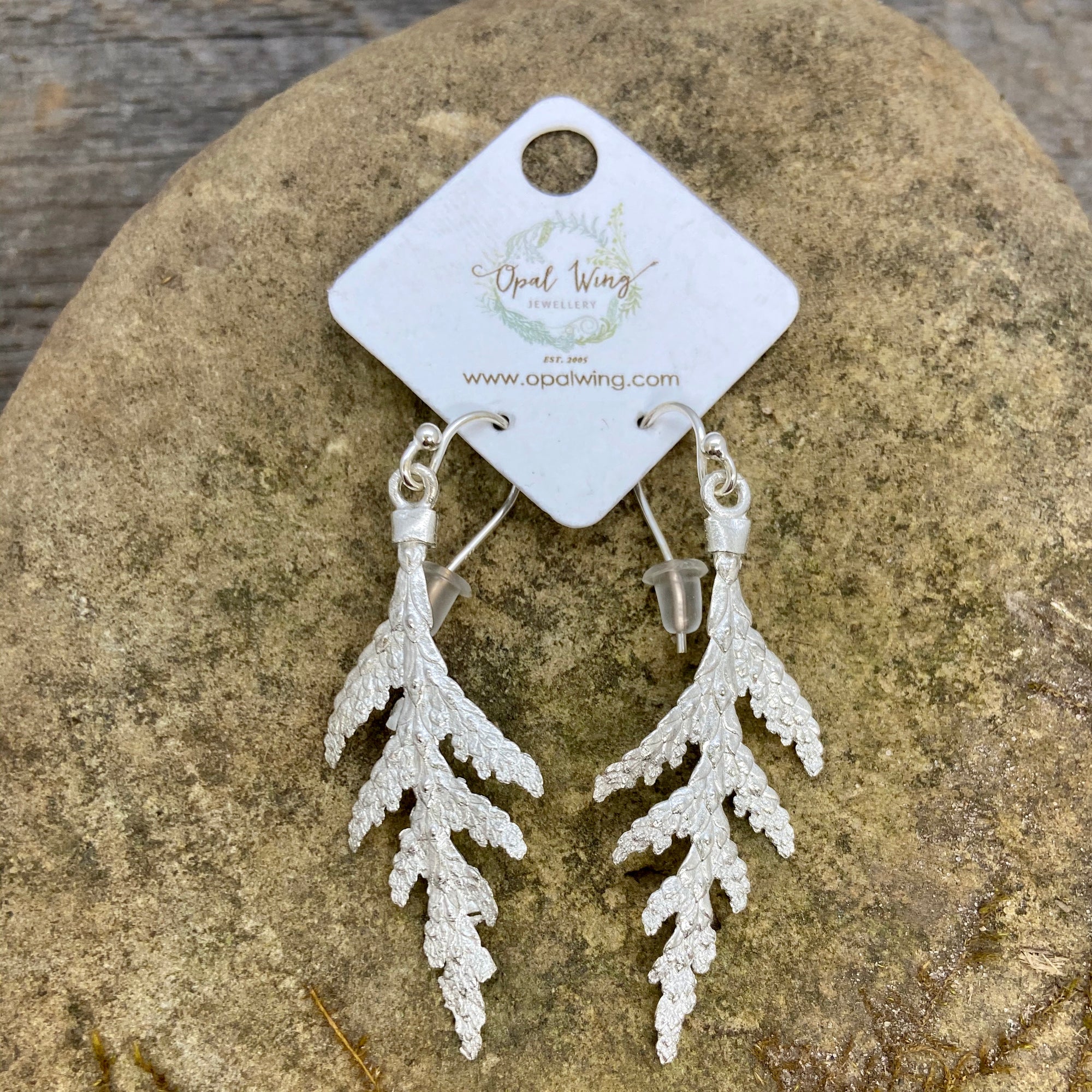 Small White Cedar Earrings